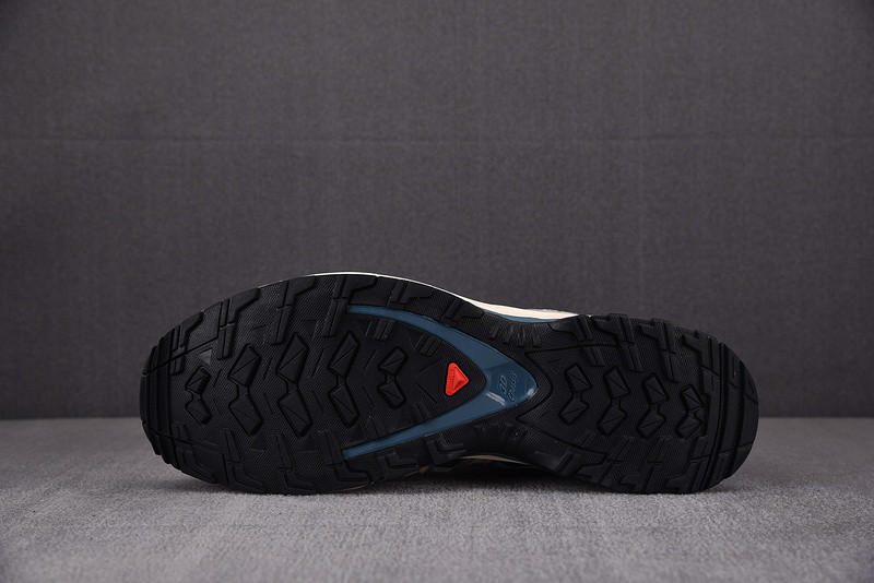 salomon xa pro adv