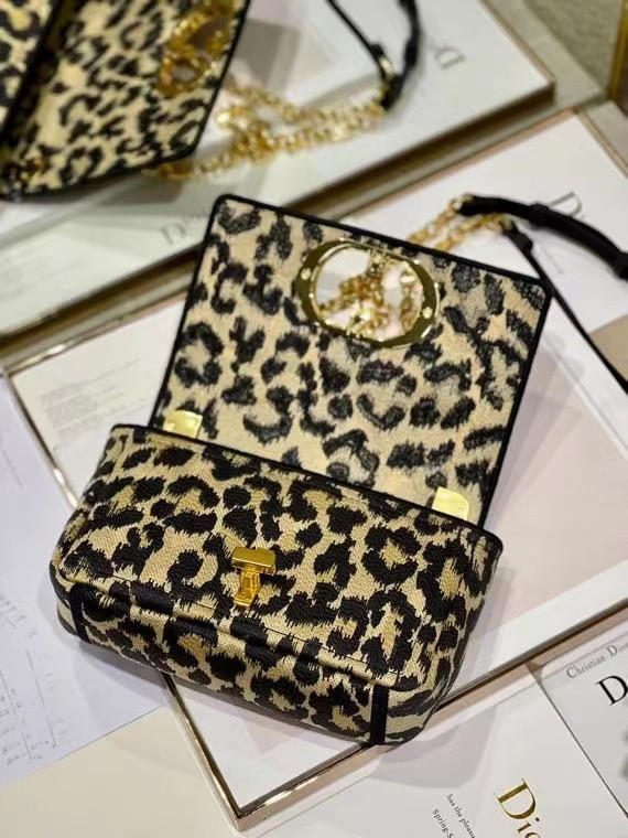 DIor BAG